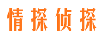 麻栗坡市侦探公司